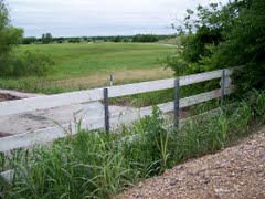 Screaming bridge in Arlington texas - covered in grass and weeds